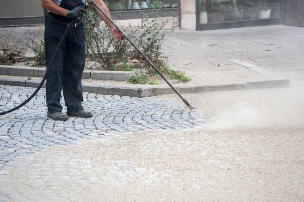 Best Patio and Deck Pressure Washing  in Fountainebleau, FL